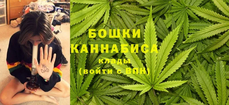 МАРИХУАНА OG Kush  Карачев 